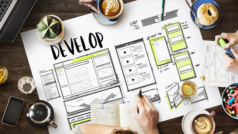 Develop a Professional Website