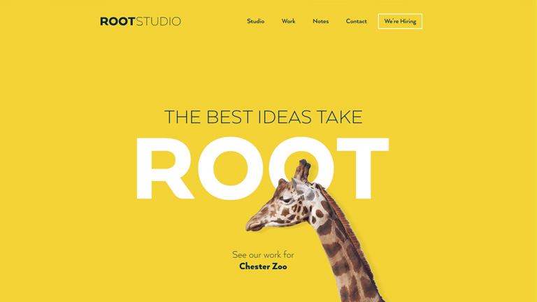 root-studio